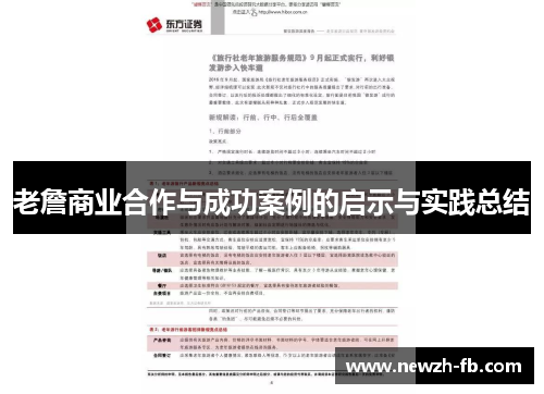 老詹商业合作与成功案例的启示与实践总结