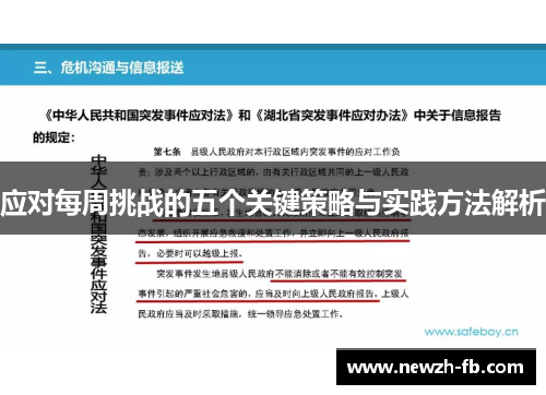应对每周挑战的五个关键策略与实践方法解析